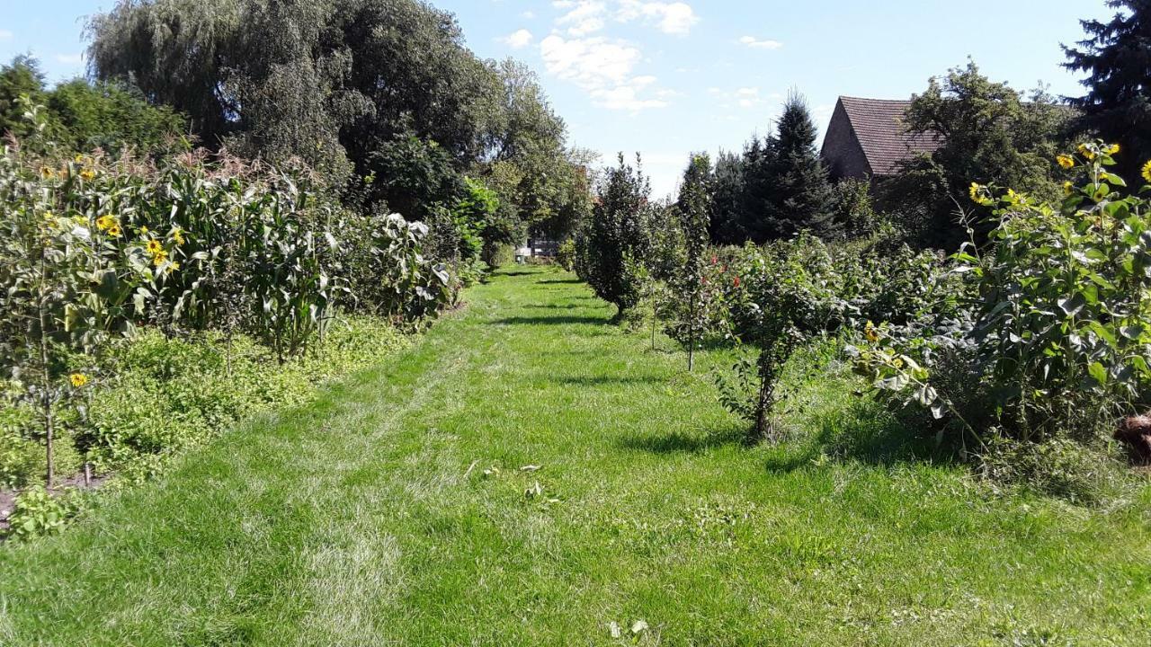Gaestezimmer Sommer Locktow 외부 사진