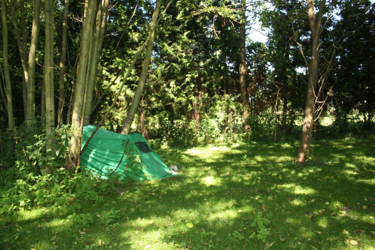 Gaestezimmer Sommer Locktow 외부 사진